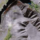 Image for article titled An algorithm that finds face-like structures on the Earth's surface